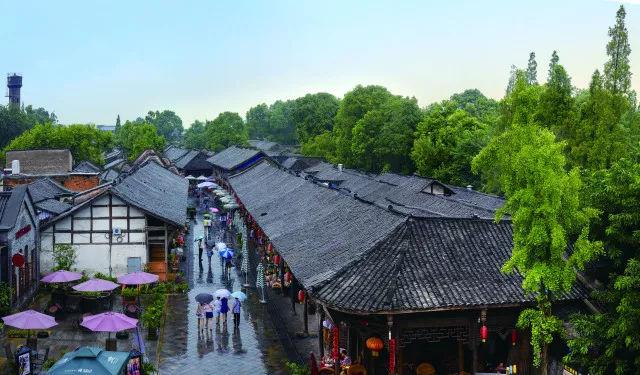 精灵的冒险之旅
